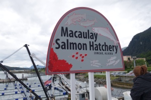 Macaulay Salmon Hatchery